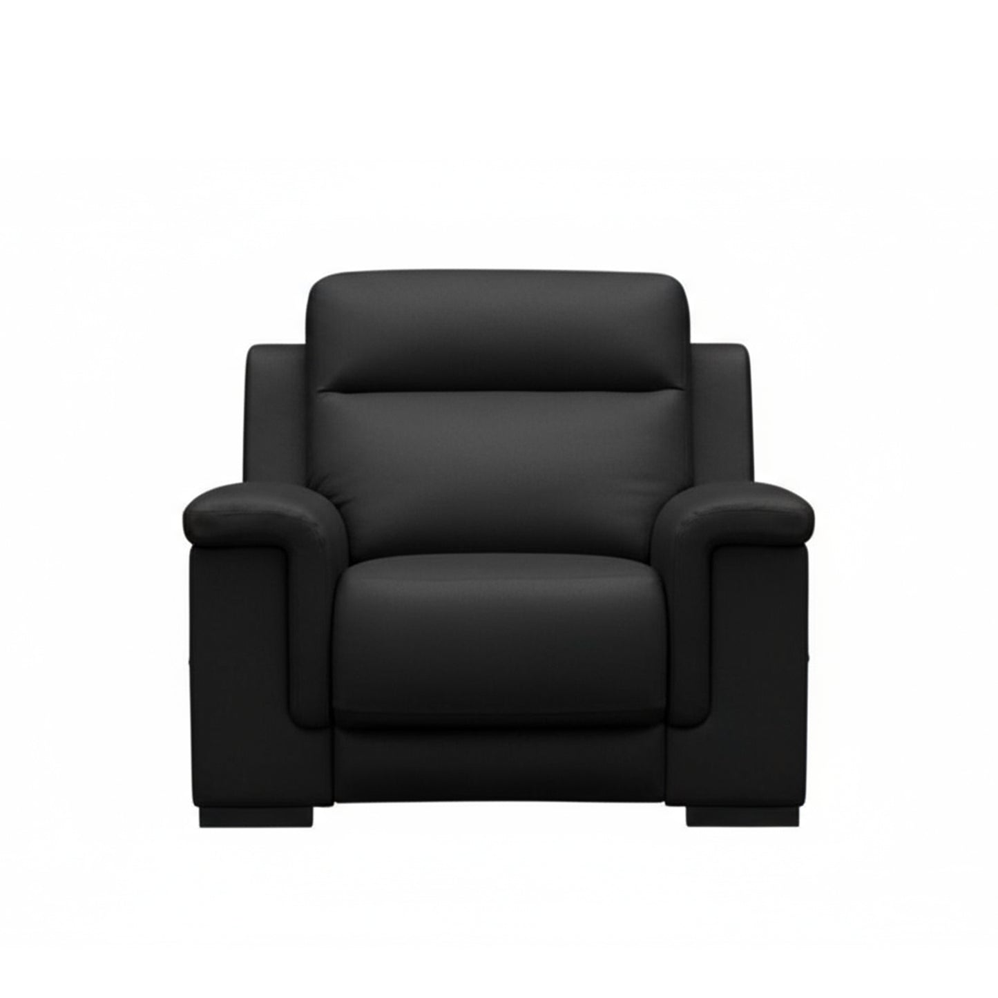 Front view showing elegant Italian leather upholstery and shell-like armrests for comfort design furniture