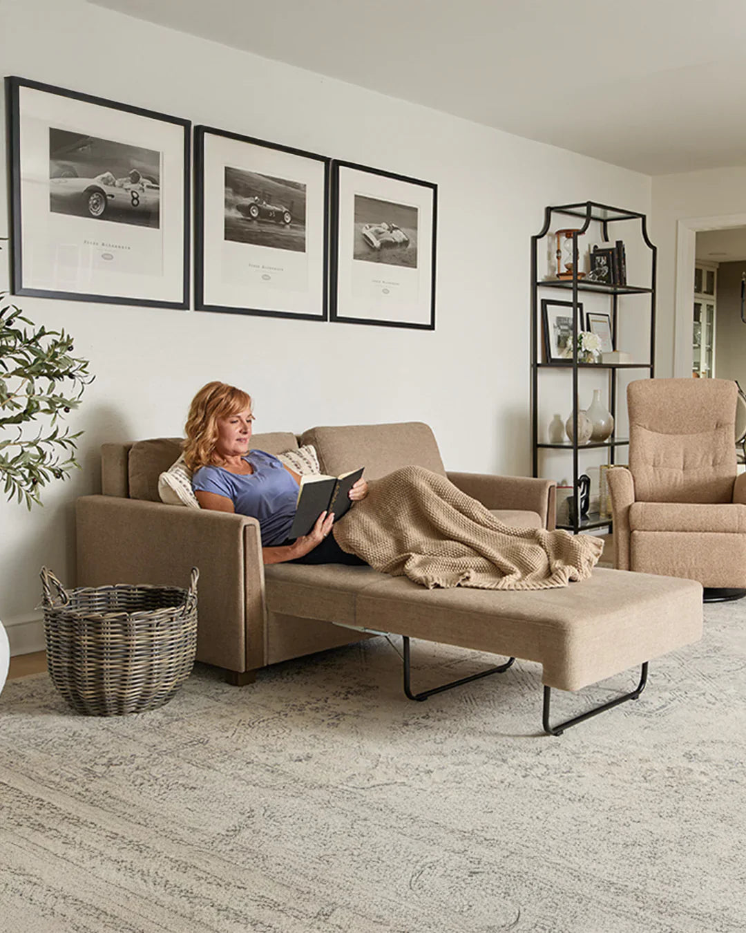 Buy Sleeper Sofa and Sofa Bed Collection Online