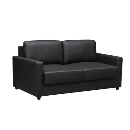 Klaussner Nova Queen Leather Sleeper Sofa with Foam Mattress