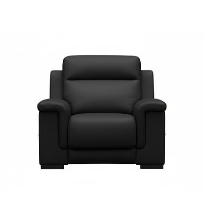 Front view showing elegant Italian leather upholstery and shell-like armrests for comfort design furniture
