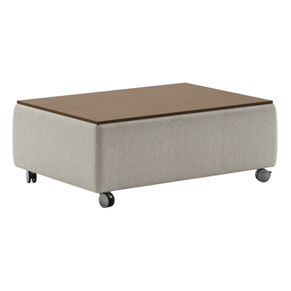 Luonto Functional Coffee Table with Casters