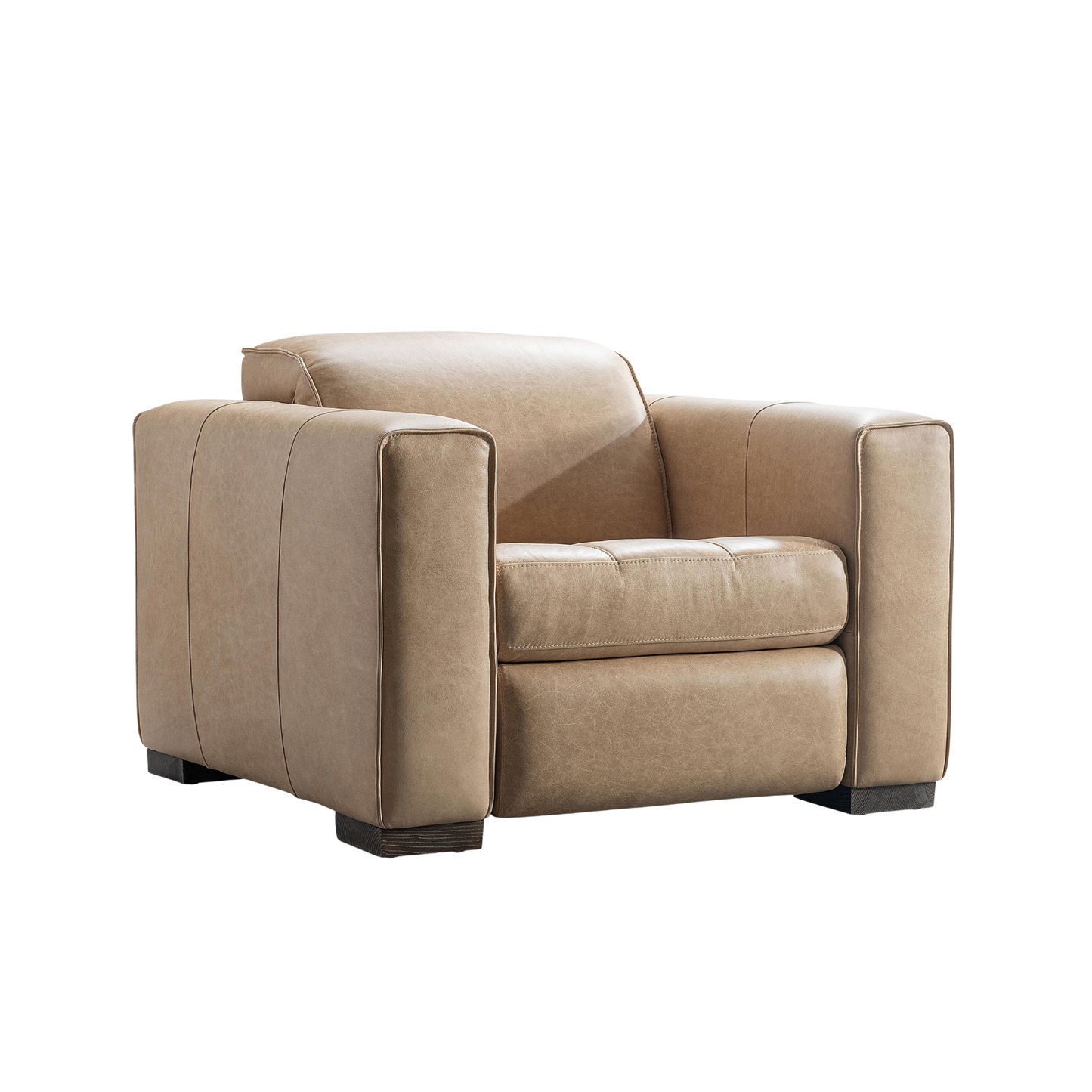Nest Leather Power Motion Recliner Chair with Power Headrest-comfortdesignfurniture